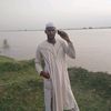 user781769618794
