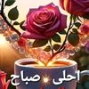 amali.arbied