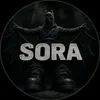 sora_tt1