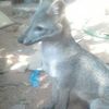 edgar.benitez299