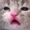 lifedisgustme