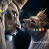 hadia.dama