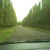 dede.rohman50