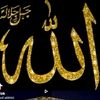 asif.ali8562