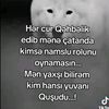 aysely01