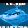 kneesurgeryintomorrow