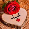 benafia.chaima0