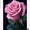 hgufy_45