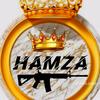 ameer.hamza4793