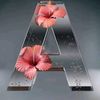 alichow67