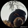 sh_mijo