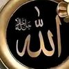 muhammadqasim5508