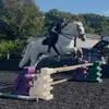 seren_human.1