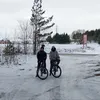 yura.polesadnik