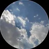 lo_fgy2