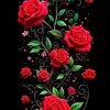 noortaha2968