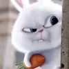 oksana_daulet