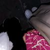 radwa.ahmed2629