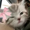 _souzzasx_6
