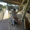 zionhand