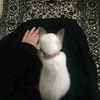 suborna.rashid.ab