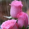 sweetange1234