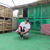 basecampjago