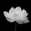 tho.nguyen649