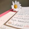 randa_4321