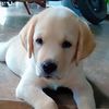 nadika.jayasinghe