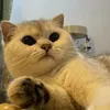 ngoduong_1122