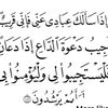 sororeltaif3