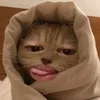 v_delacruz16