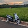 vario.white6