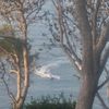 sidra_555_6