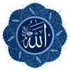 hamed4837