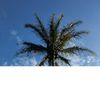 atin_005