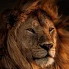 itsking7773