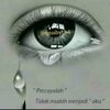 user387555500