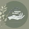 green.plant83