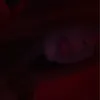 bronte.adelex