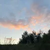 ameliaemm_4453
