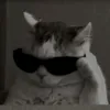 meraa_333