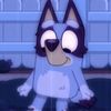 hello_itto_kitty