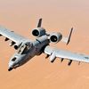 warthog_a1o