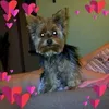 ludivine.835