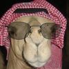 waseezrl1di