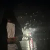 lin_us_re_p07