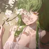 shuuuka08