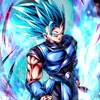 shallot_solo